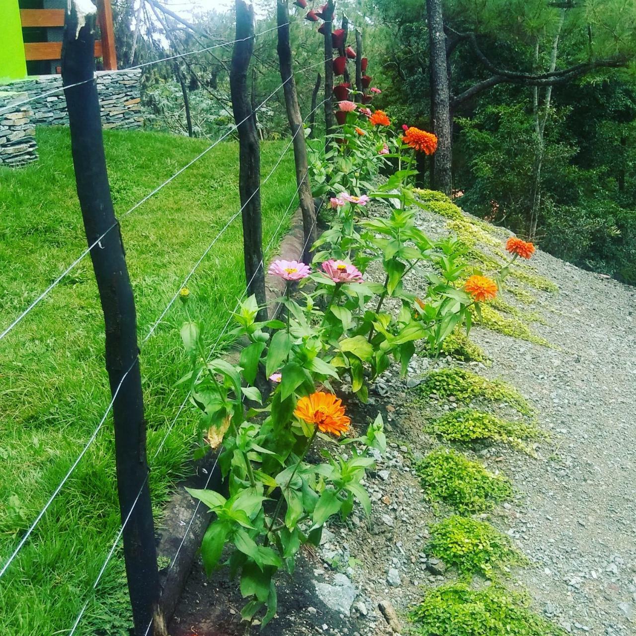 Apartmán Mi Hogar Jarabacoa Exteriér fotografie