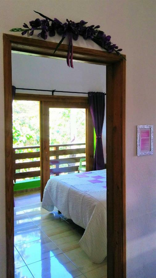 Apartmán Mi Hogar Jarabacoa Exteriér fotografie